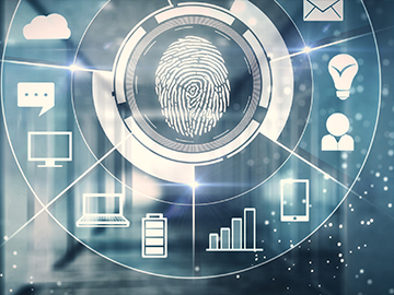 What is a biometric safe?